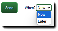 Screenshot showing the Send Now campaign scheduling option